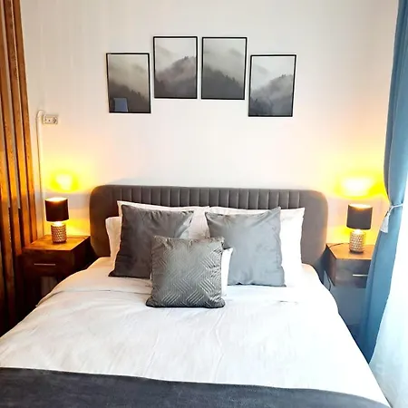 Apartment Mountain Breeze Luxury Ac & Parcare Privata Brasov