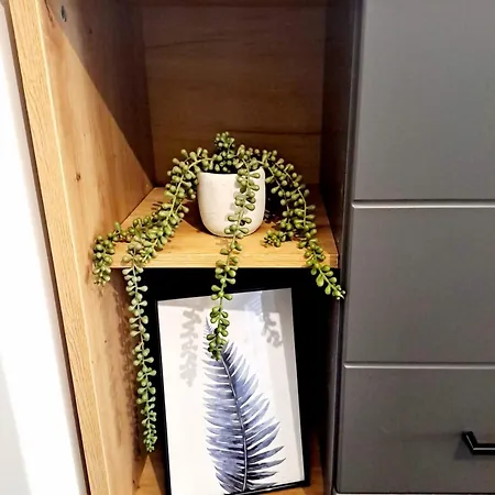 Apartament Mountain Breeze Luxury Ac & Parcare Privata Brașov