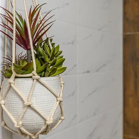 Apartmán Mountain Breeze Luxury Ac & Parcare Privata