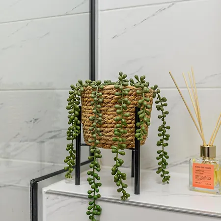 Mountain Breeze Luxury Ac & Parcare Privata