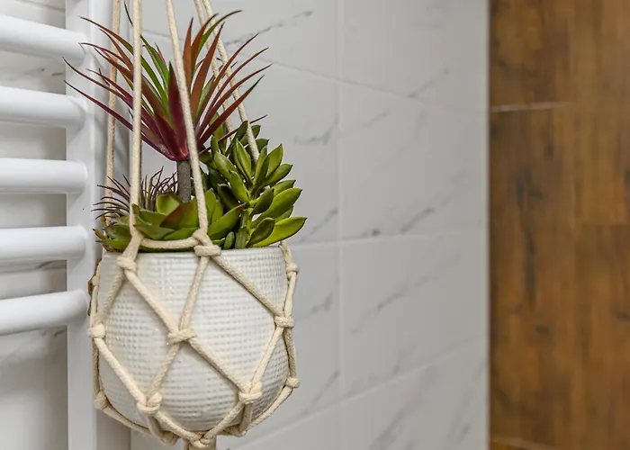 Apartmán Mountain Breeze Luxury Ac & Parcare Privata